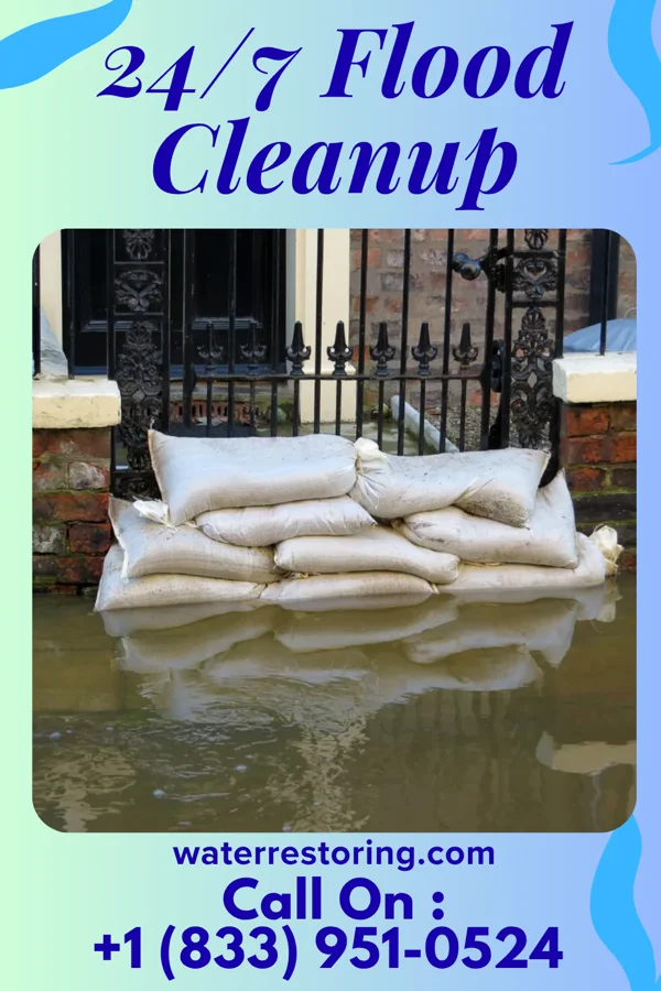 24/7 Flood Cleanup in Deerfield, MO
