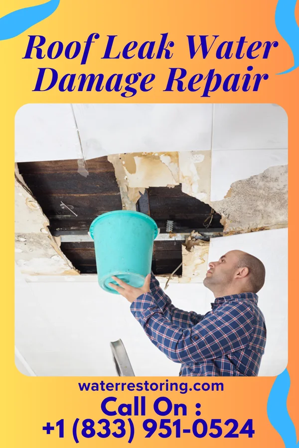 Roof Leak Water Damage Repair in Deerfield, MO